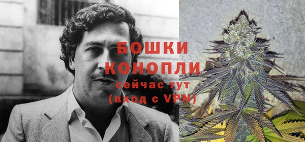 стафф Медногорск