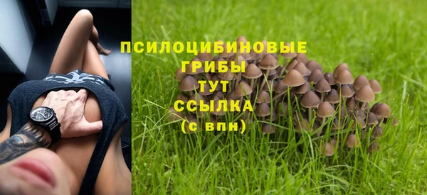 стафф Медногорск