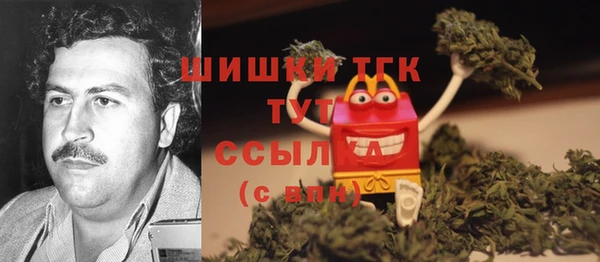ешки Мегион