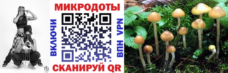 Купить где  Похвистнево  Псилоцибиновые грибы мицелий 